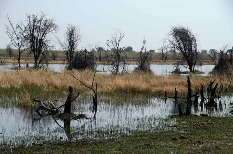 24 - Namibia - parque nacional de Bwabwata - paisaje